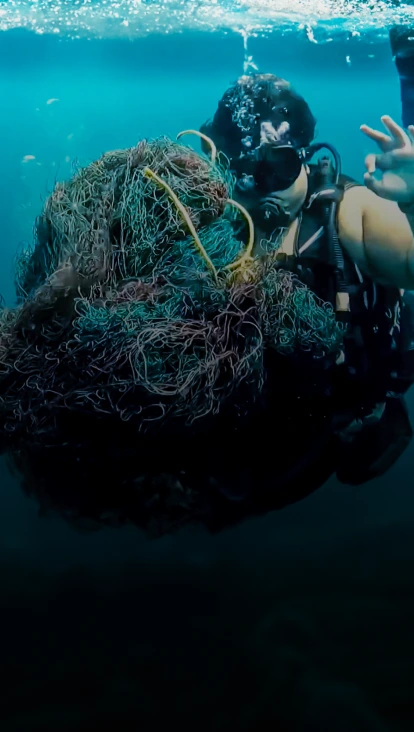 Cleaning the seas: 