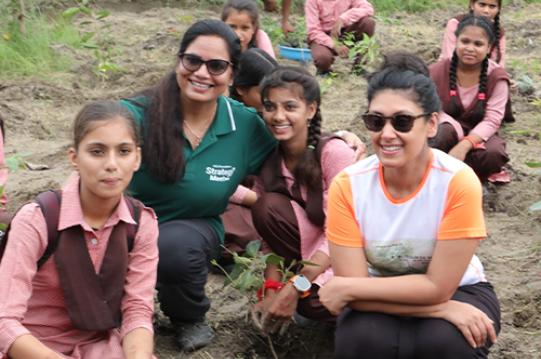 Mega Plantation Drive
