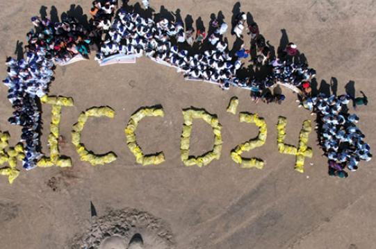 ICCD 2024