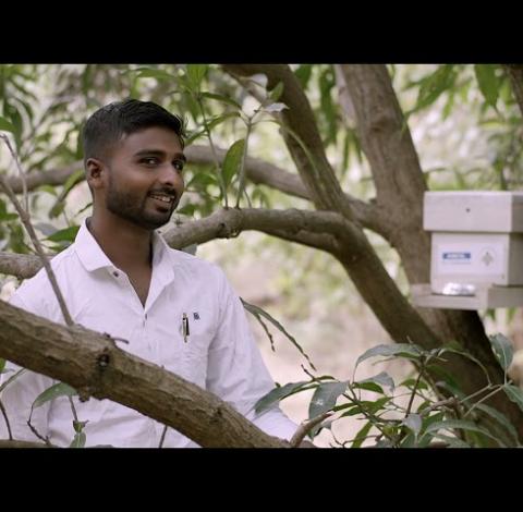 HCLTech Grant - Environment Category Recipient 2020_Under The Mango Tree_Impact