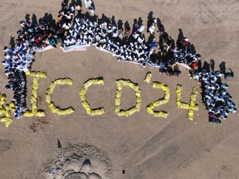 ICCD 2024